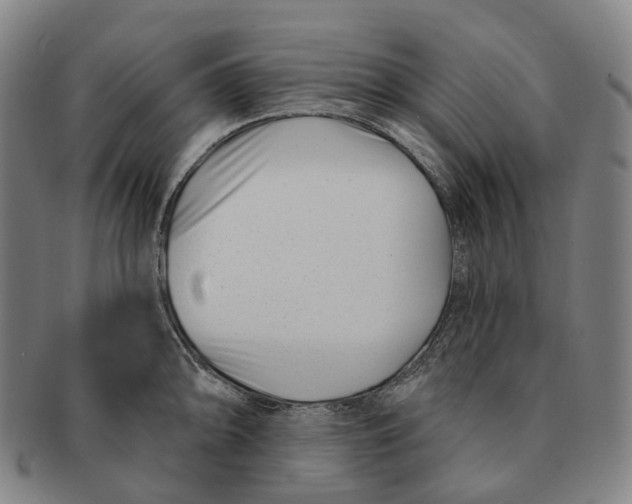 X0000091001094200708301329
