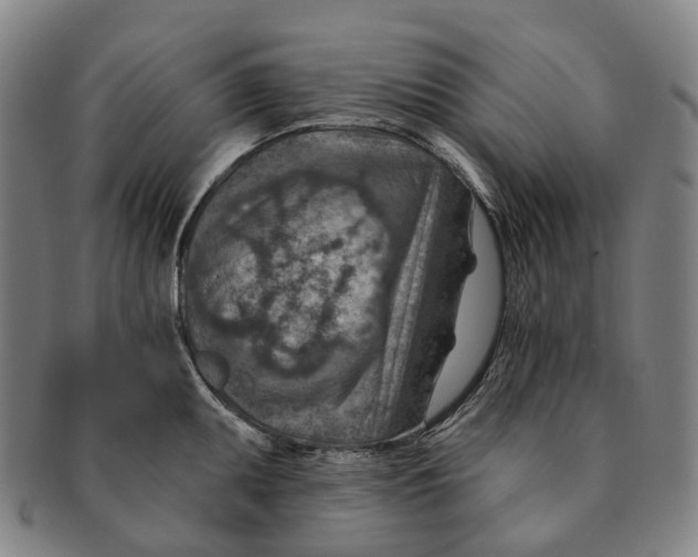 X0000091001095200708301329