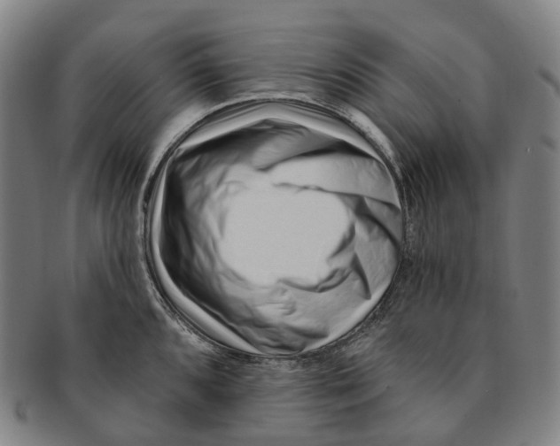 X0000091001096200708301329