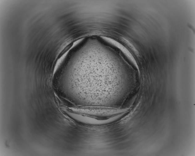 X0000091001097200708301329