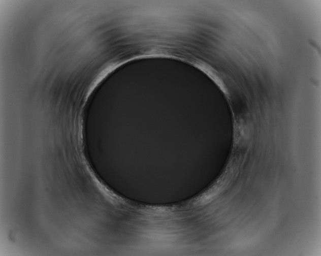 X0000091001101200708301329