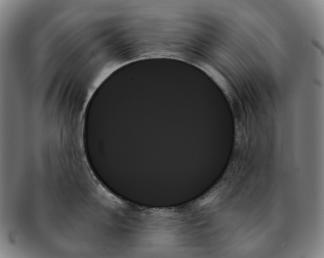 X0000091001102200708301329