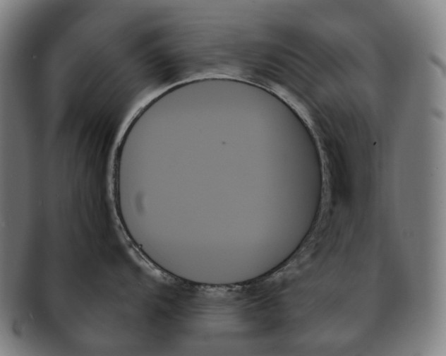 X0000091001104200708301329