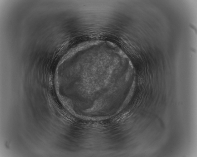 X0000091001106200708301328