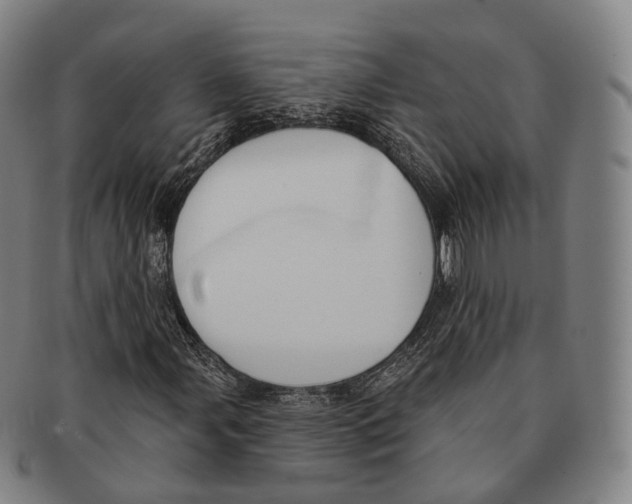 X0000091001107200708301328
