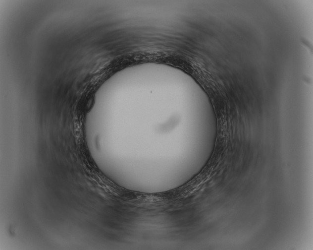 X0000091001109200708301328