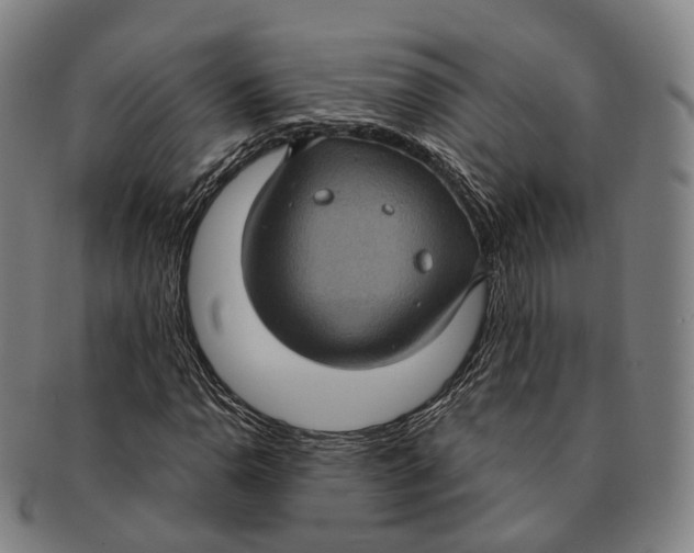X0000091001110200708301328