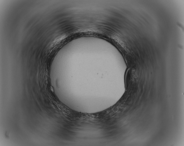 X0000091001111200708301328