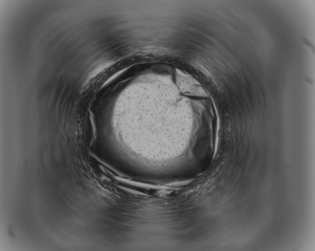 X0000091001112200708301328