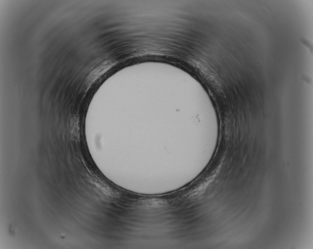 X0000091001113200708301328