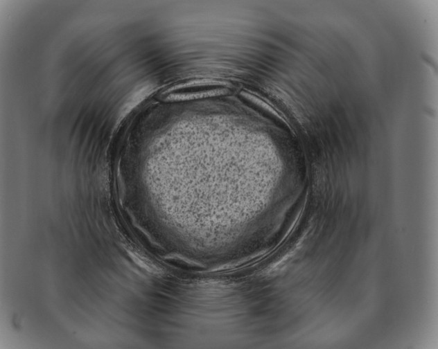X0000091001114200708301328