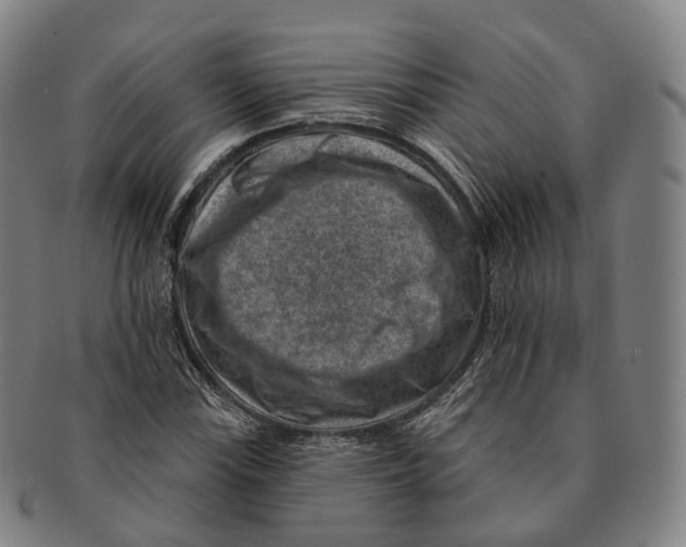 X0000091001115200708301328
