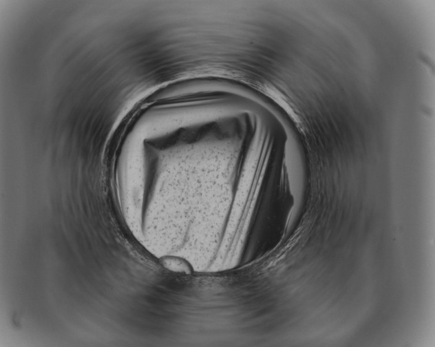 X0000091001116200708301328
