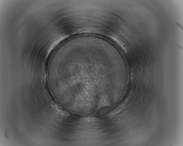 X0000091001117200708301328