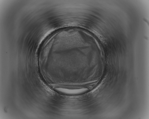 X0000091001118200708301328