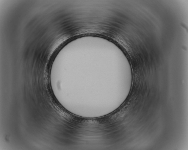 X0000091001119200708301329