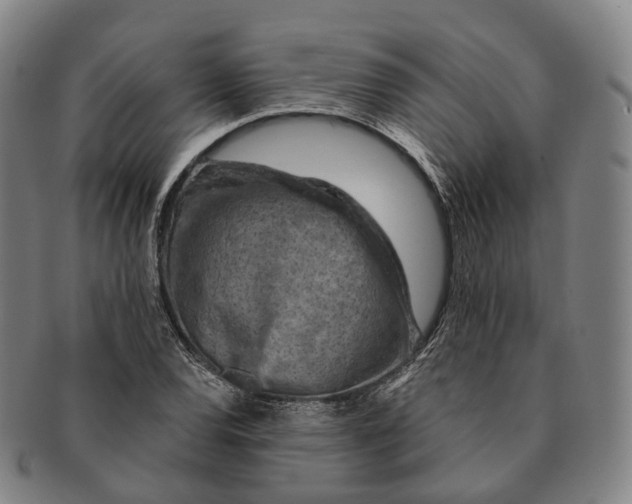 X0000091001120200708301329
