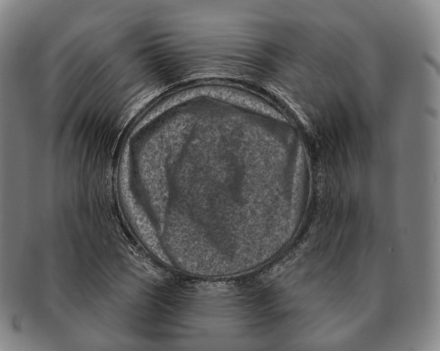 X0000091001121200708301329