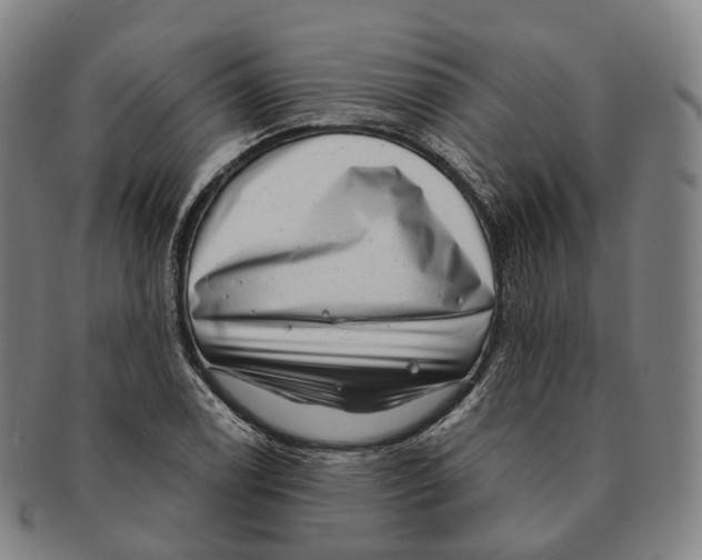 X0000091001122200708301329