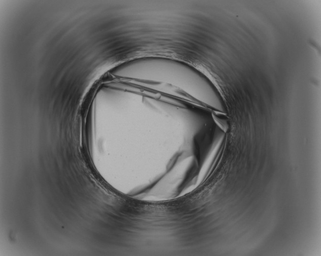 X0000091001123200708301329