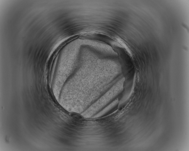 X0000091001124200708301329