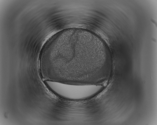 X0000091001125200708301329