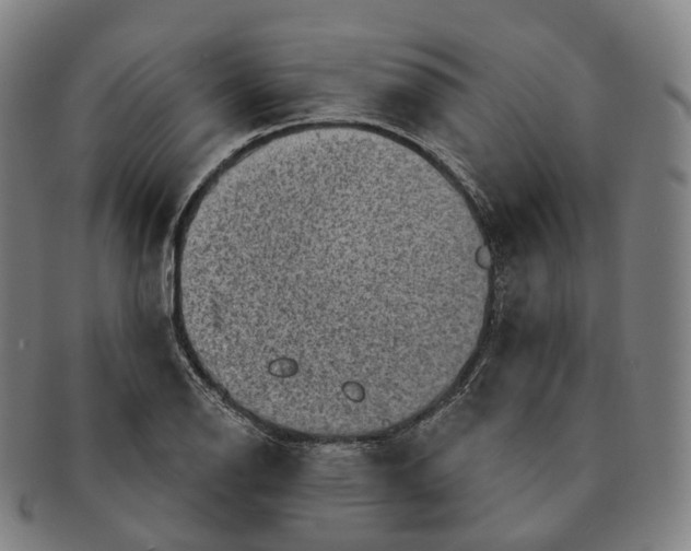 X0000091001126200708301329