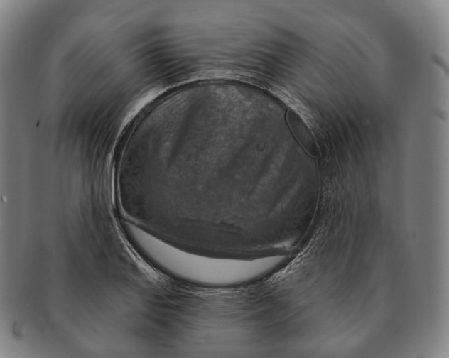 X0000091001127200708301329
