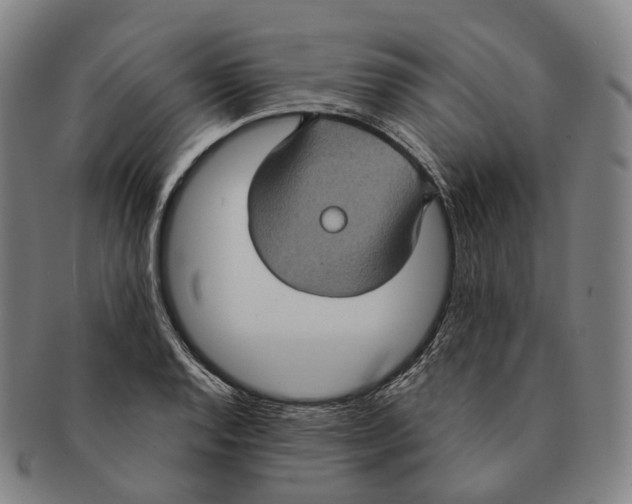 X0000091001128200708301329