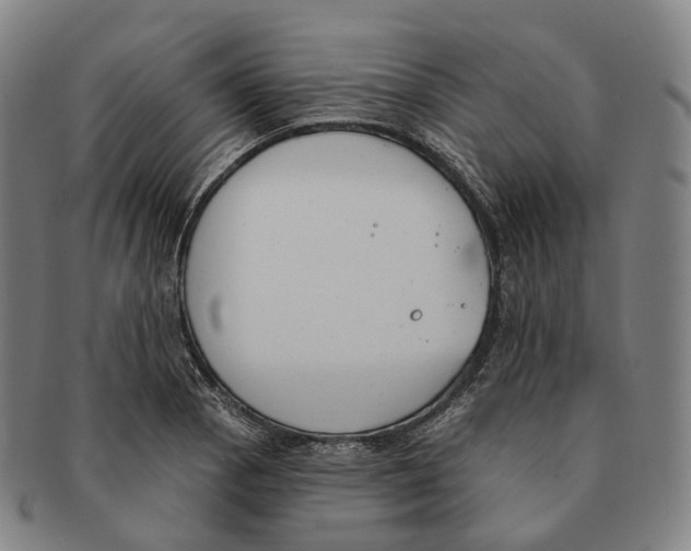 X0000091001129200708301329