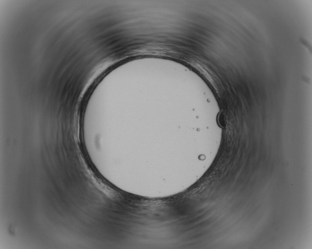 X0000091001131200708301329