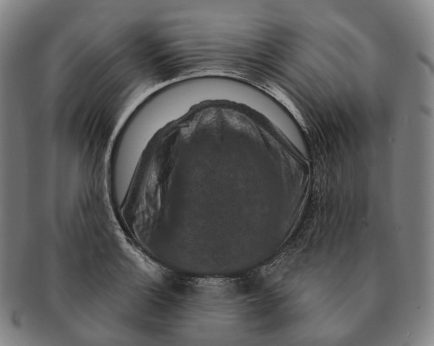X0000091001132200708301329