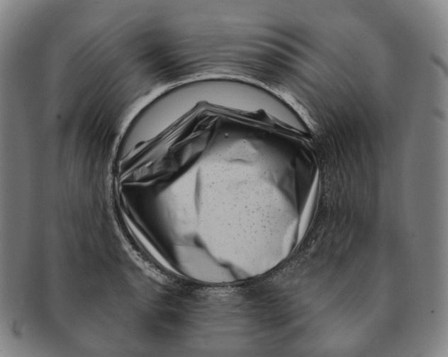 X0000091001134200708301329