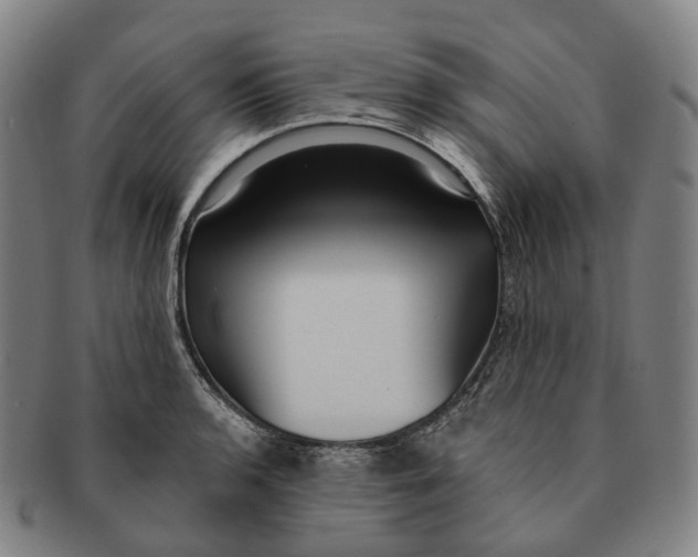 X0000091001136200708301329
