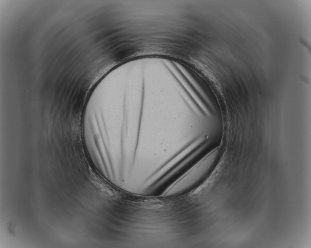 X0000091001137200708301329