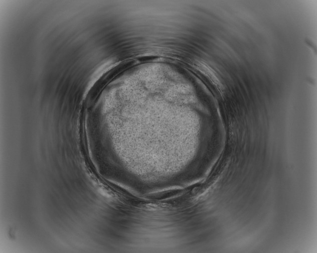 X0000091001138200708301329