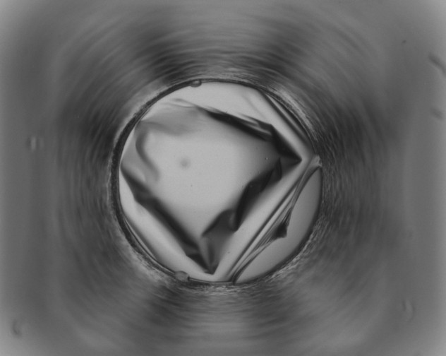 X0000091001139200708301329