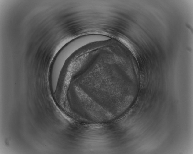 X0000091001141200708301329