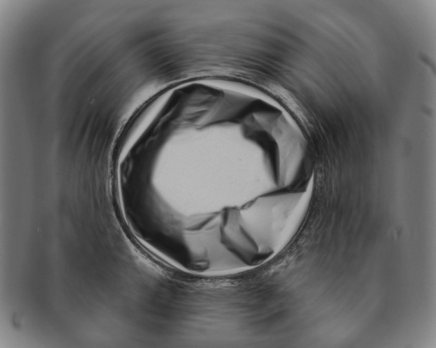 X0000091001143200708301329