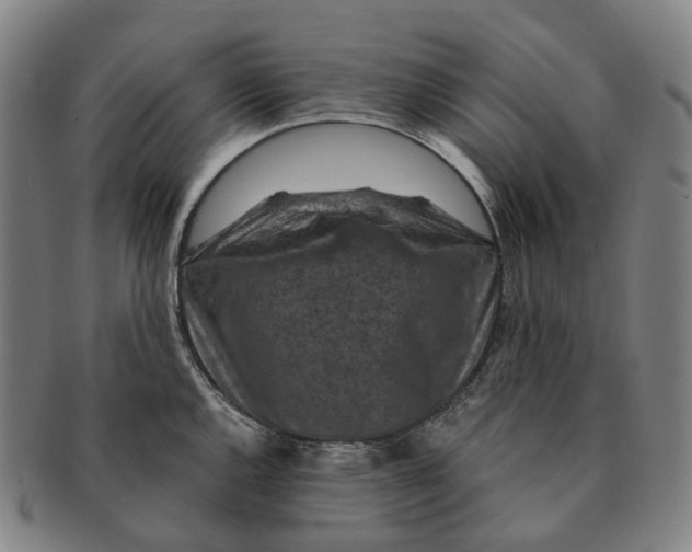 X0000091001144200708301329