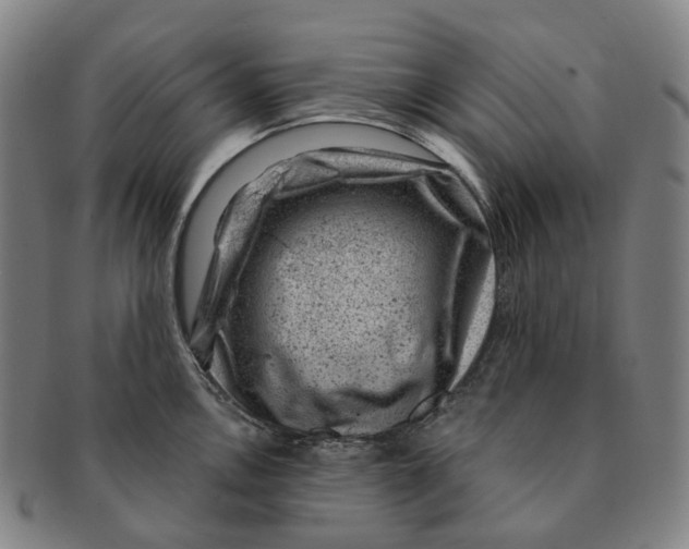 X0000091001146200708301329