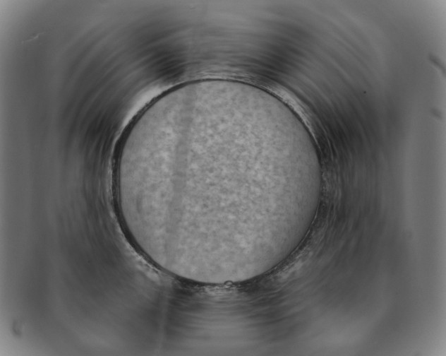 X0000091001147200708301329