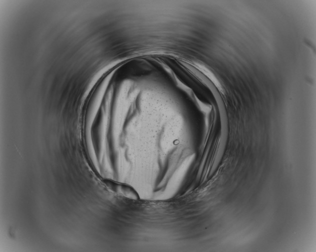 X0000091001148200708301329