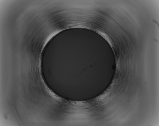 X0000091001149200708301329