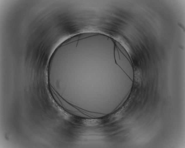 X0000091001150200708301329