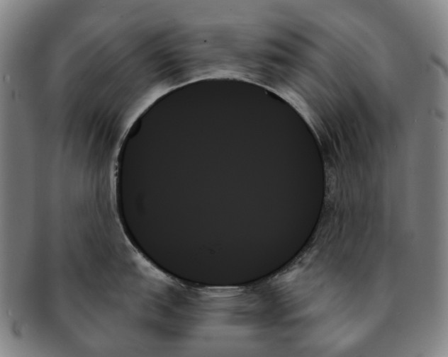 X0000091001151200708301329