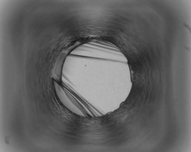X0000091001153200708301328