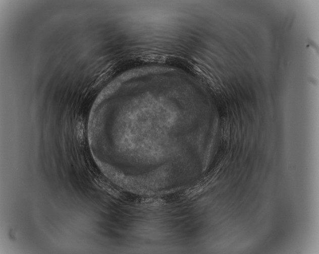X0000091001154200708301328