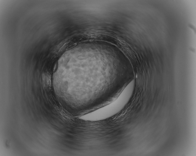 X0000091001155200708301328