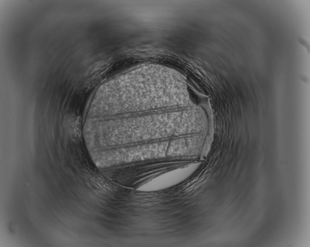 X0000091001156200708301328